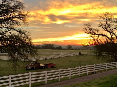 Sunrise in the pasture