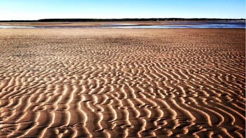 On the beach