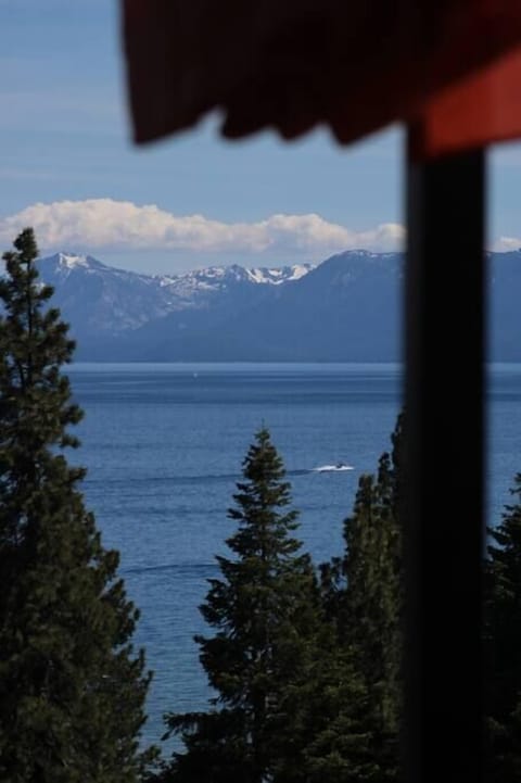 Kitchen view - and pergola provides shade in the summertime.