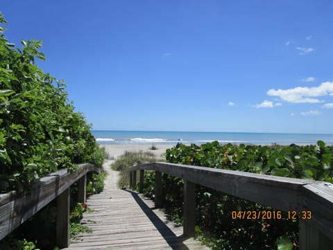 Beach nearby, sun loungers, beach towels