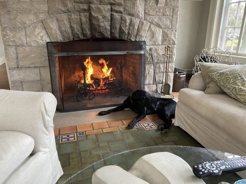 Smart TV, fireplace, books