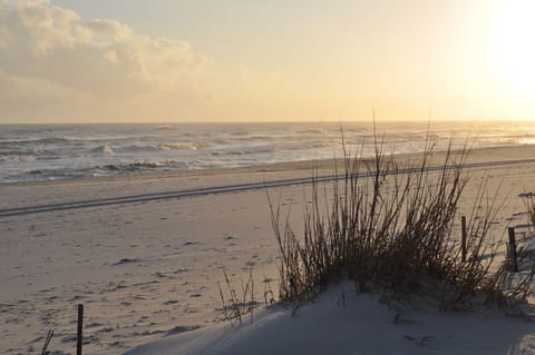 On the beach