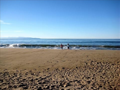 On the beach