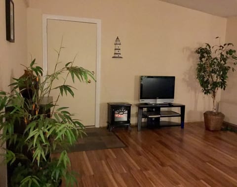 Front door with flat screen