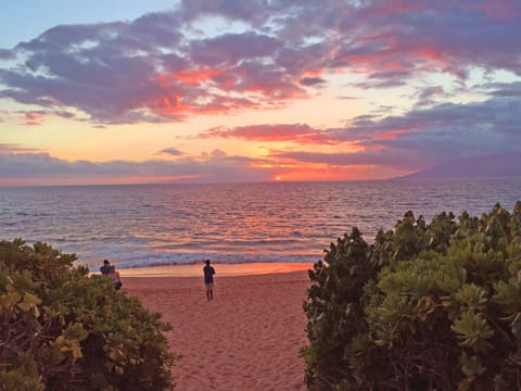 Beach nearby, sun loungers, beach towels