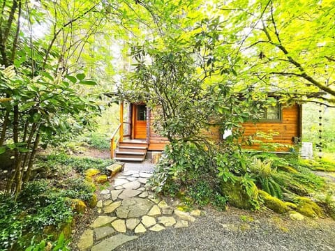 Just a few more steps away from our Woodsy Dream Cabin.