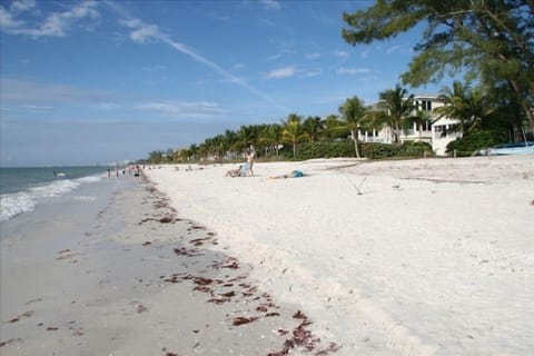 Beach | Sun loungers, beach towels