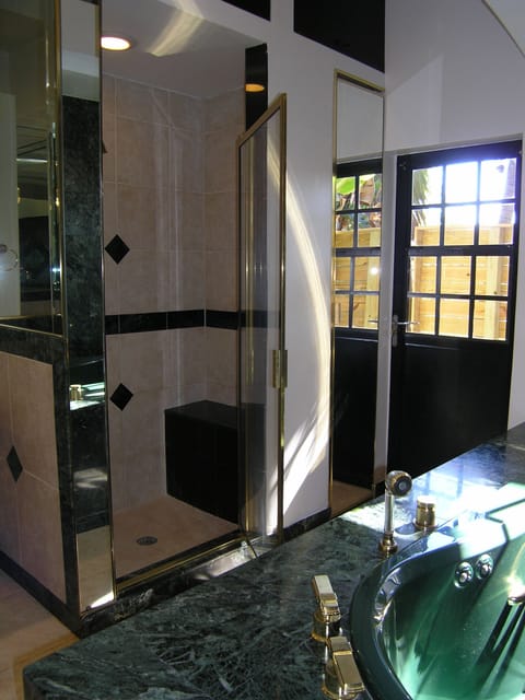 Combined shower/tub, jetted tub, hair dryer, towels