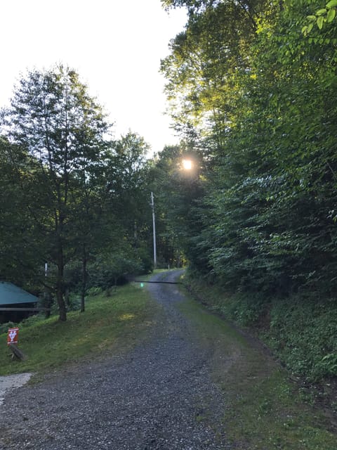 Cabin sits at the end of a private/gated dead end road