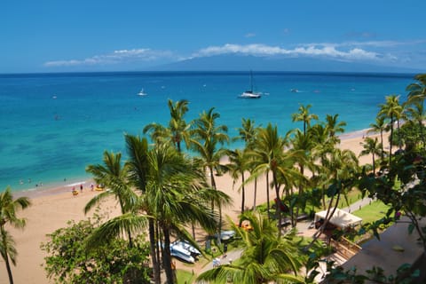 On the beach, sun loungers, beach towels