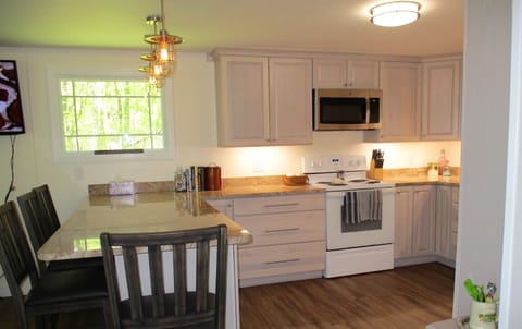 Looking into the backyard from our newly remodeled kitchen