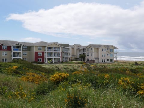 Building with condo marked