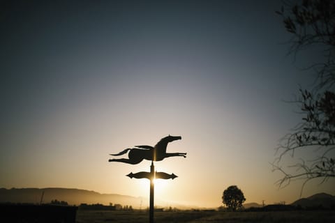 Flying Caballos Sunsets