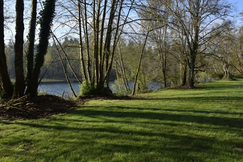 lower lawn, early spring