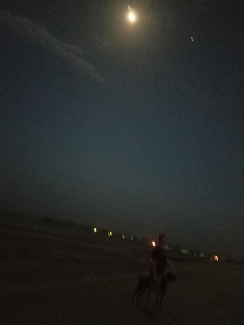 Full moon on the beach