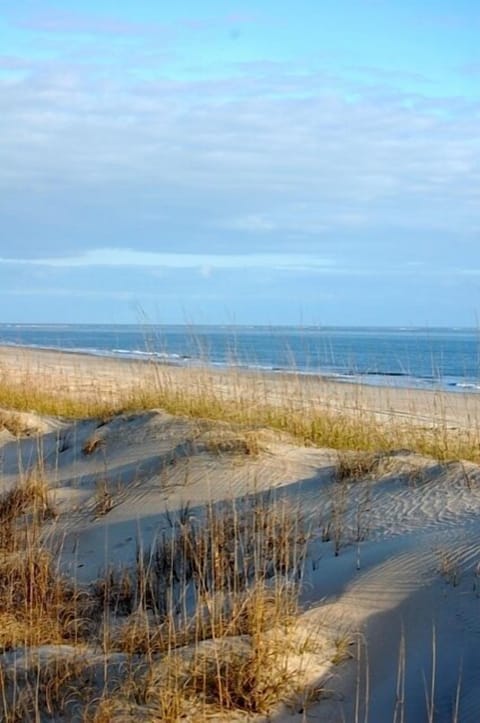 On the beach, sun loungers, beach towels