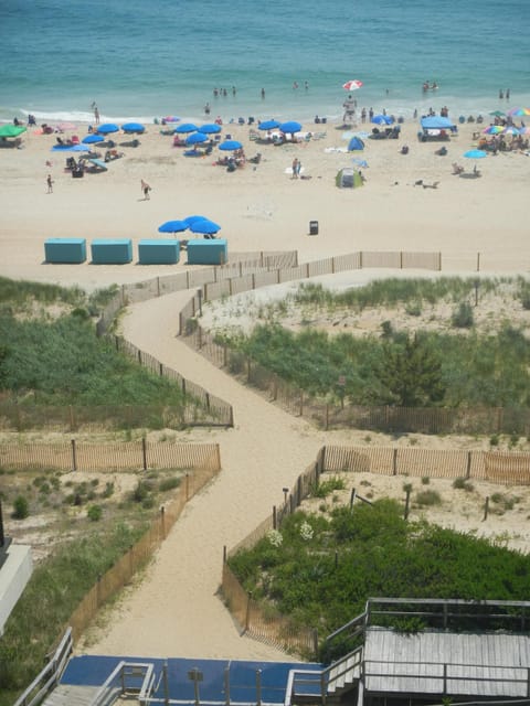 On the beach, sun loungers