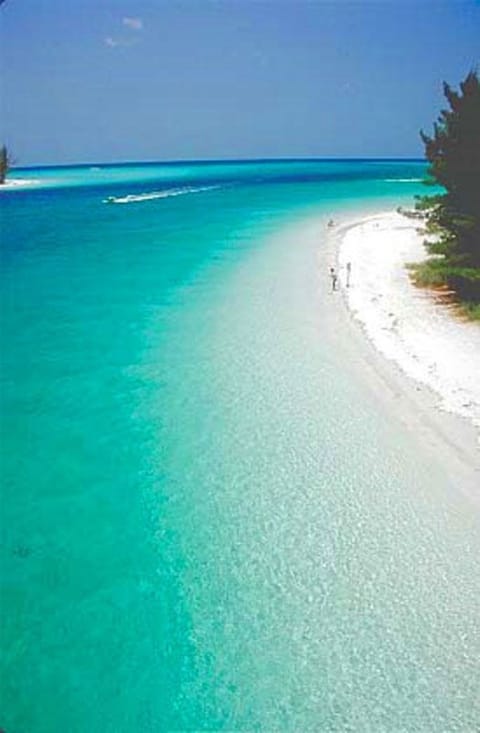 Sun loungers, beach towels