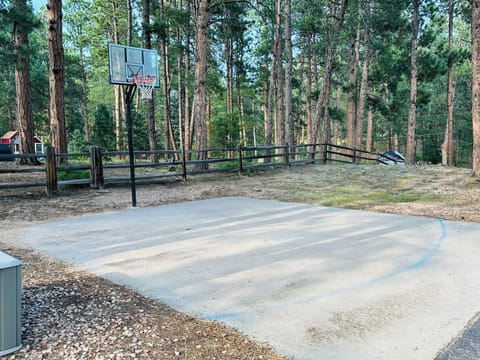 Sport court