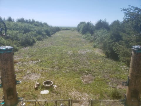 View from Deck during Summer.