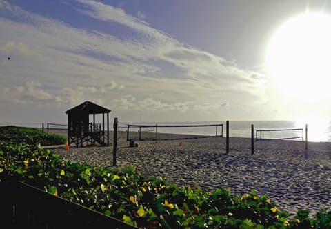 Sun loungers, beach towels