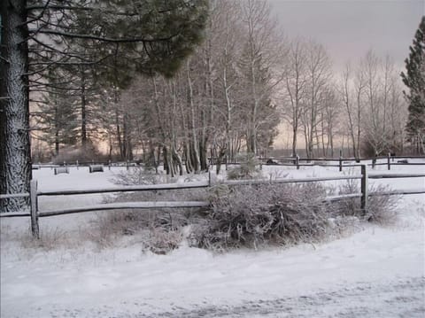 Take a wintery walk down to the lake!