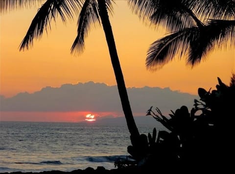 End of another amazing day at the beach