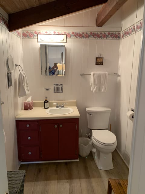 Combined shower/tub, hair dryer, towels, toilet paper