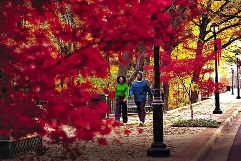 Hillcrest is a beautiful neighborhood with lots of restaurants & places to walk