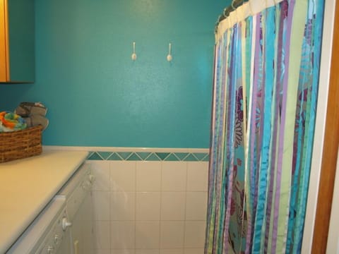 Downstairs Full Bathroom