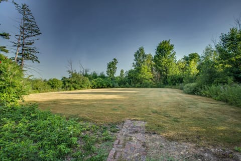 open field in the back