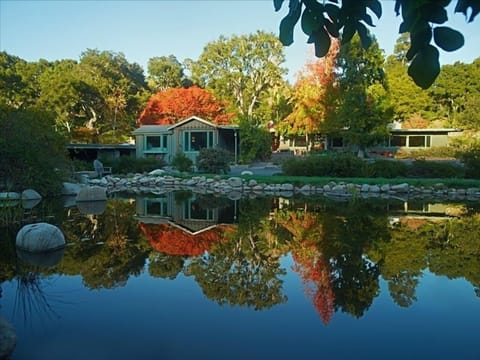 Koi Pond & Cottage