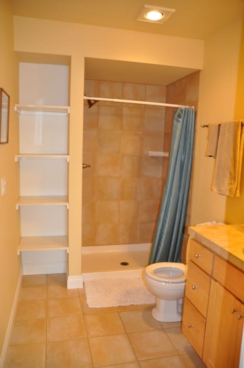 Combined shower/tub, hair dryer, towels, soap