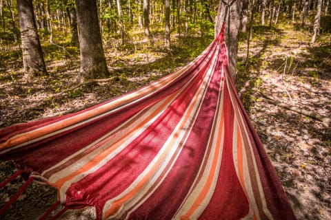 Relax in our comfortable hammock