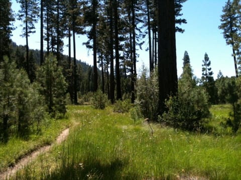 Fallen Leaf Trail head outside of unit