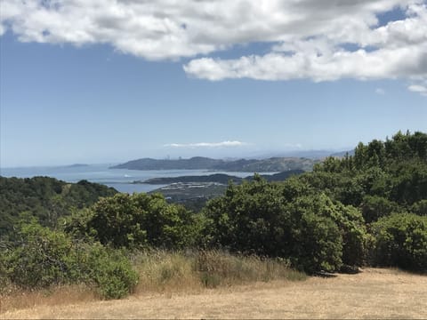 Nearby Marin hike