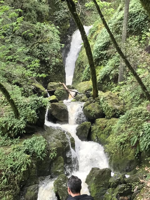 Just down the road--Cascade Falls