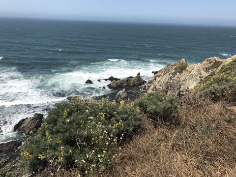 Hike along the Pacific Ocean
