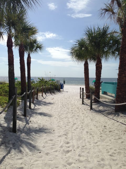 Sun loungers, beach towels