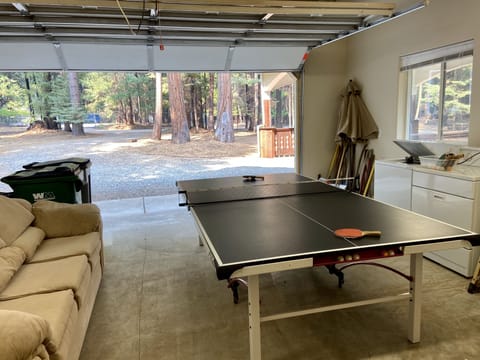 Ping Pong table in garage