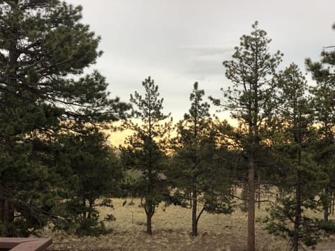 Great views from our deck