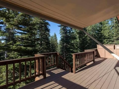 Mountain and Forest Views!