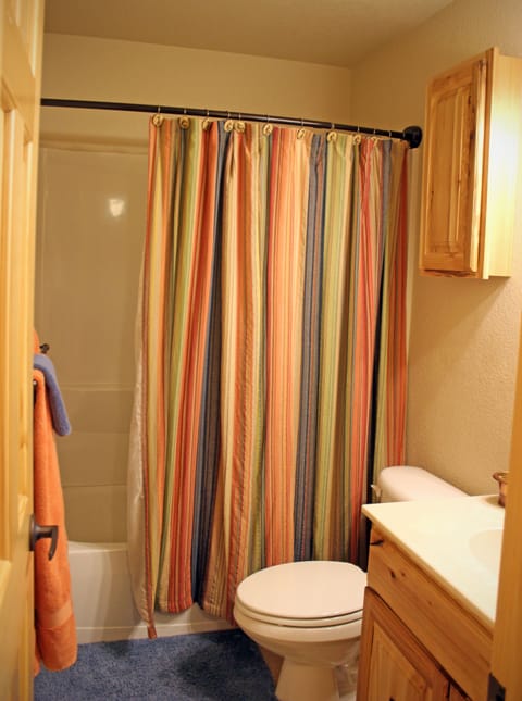 Combined shower/tub, hair dryer, towels, soap