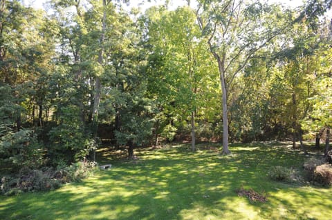 View of lawn, and woods from deck