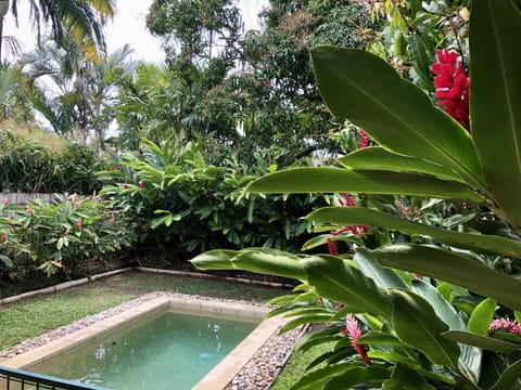 Very private plunge pool in a lush tropical garden 