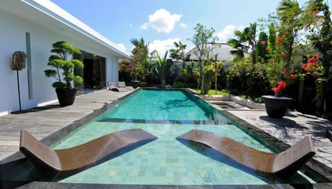 Outdoor pool, sun loungers