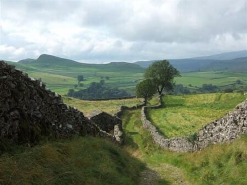 Track to Catrigg Force from Stainforth