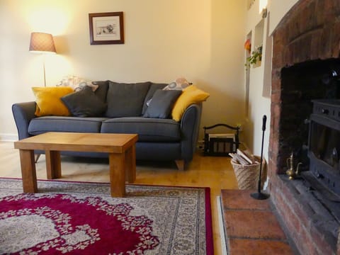Cosy lounge with woodburner, tv and books.