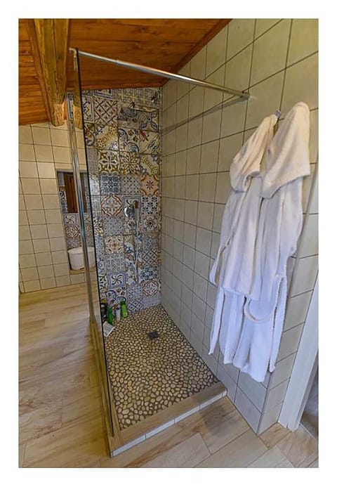 Combined shower/tub, hair dryer, bidet, towels