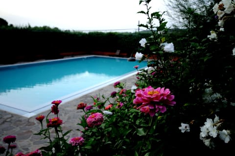 Outdoor pool, an infinity pool